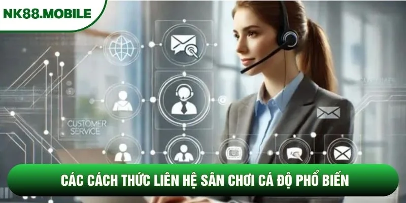 Các cách thức liên hệ sân chơi cá độ phổ biến Các cách thức liên hệ sân chơi cá độ phổ biến