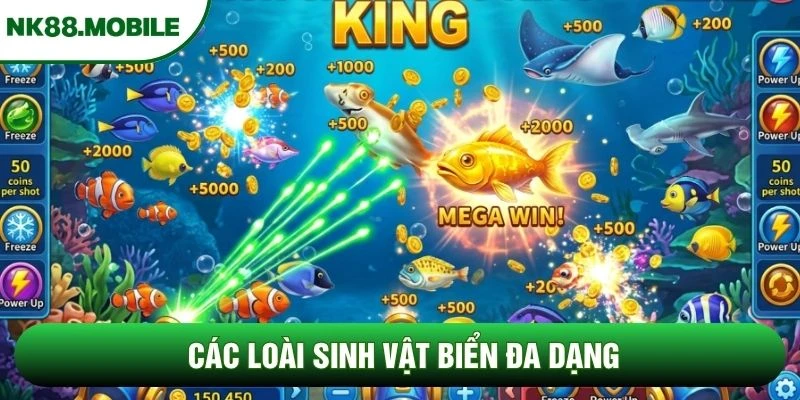 Các loài sinh vật biển đa dạng