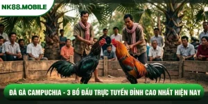 Đá Gà Campuchia - 3 Bồ Đấu Trực Tuyến Đỉnh Cao Nhất Hiện Nay