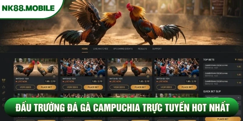 Đấu trường đá gà Campuchia trực tuyến hot nhất
