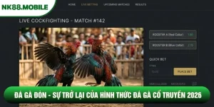 Đá Gà Đòn - Sự Trở Lại Của Hình Thức Đá Gà Cổ Truyền 2026