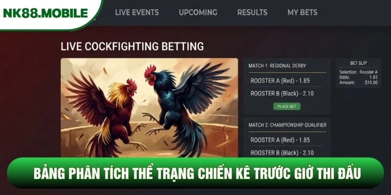 Bảng phân tích thể trạng chiến kê trước giờ thi đấu Bảng phân tích thể trạng chiến kê trước giờ thi đấu