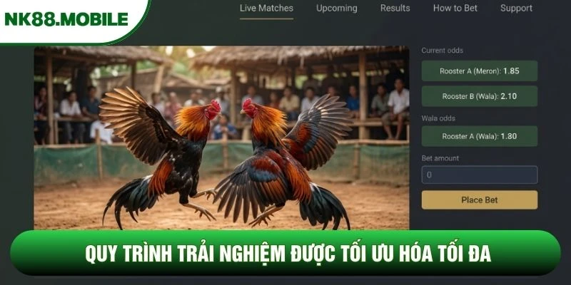 Quy trình trải nghiệm được tối ưu hóa tối đa Quy trình trải nghiệm được tối ưu hóa tối đa