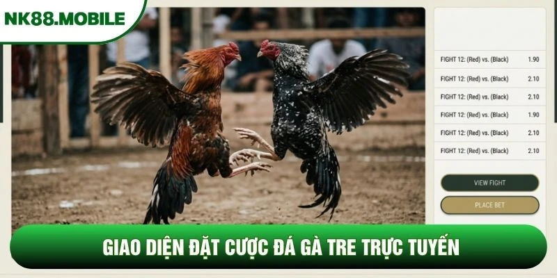 Giao diện đặt cược đá gà tre trực tuyến Giao diện đặt cược đá gà tre trực tuyến