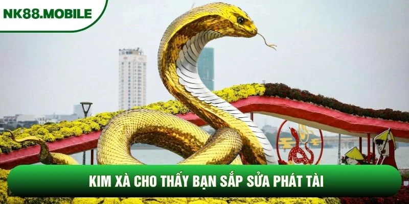 Kim xà cho thấy bạn sắp sửa phát tài Kim xà cho thấy bạn sắp sửa phát tài