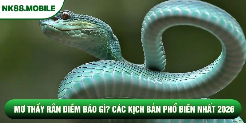 Mơ thấy rắn điềm báo gì? Các kịch bản phổ biến nhất 2026