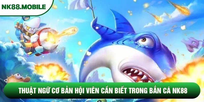 Thuật ngữ cơ bản hội viên cần biết trong bắn cá NK88